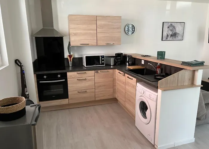 Escale Sereine - Sanctuaire Et Gare A 10 Minutes * Lourdes