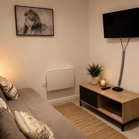 Apartment Escale Sereine A Lourdes, Calme Entre Gare Et Sanctuaire A Pied Lourdes